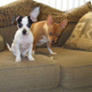 Meet your Posher, Mirna